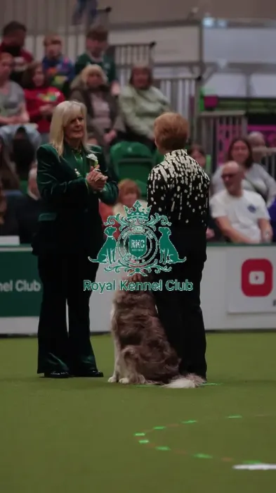 Framed Print : Crufts Obedience Championship Bitches Sunday 8th March 2026 Framed Print : Crufts Obedience Championship Bitches Sunday 8th March 2026