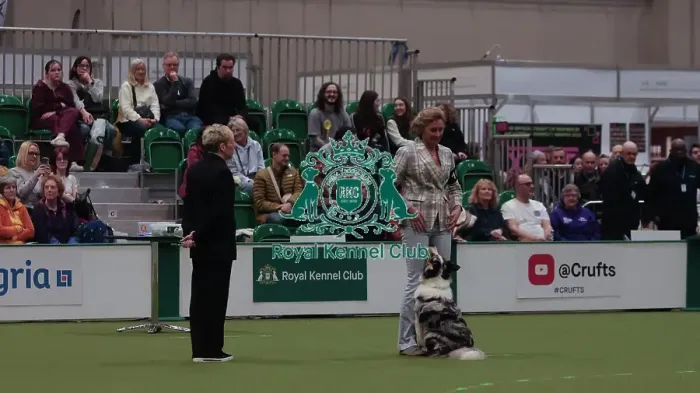 Framed Print : Crufts Obedience Championship Bitches Sunday 8th March 2026 Framed Print : Crufts Obedience Championship Bitches Sunday 8th March 2026