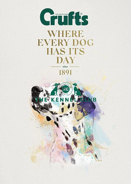 Crufts poster 2020 artwork featuring Dalmatian