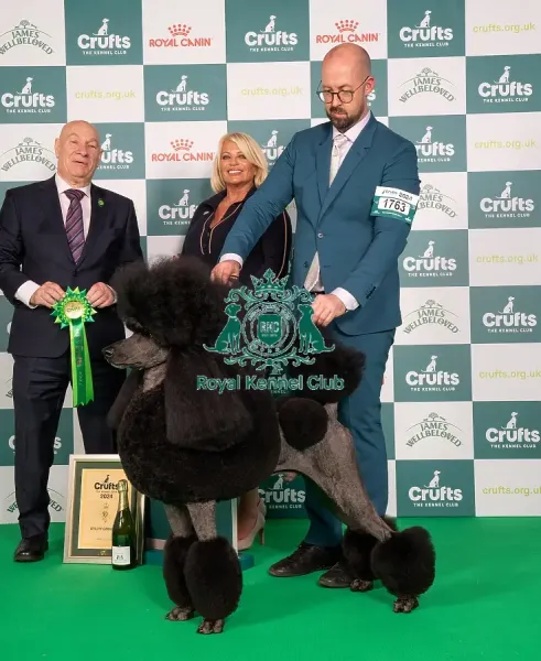 Nec Birmingham Crufts Events Crufts 2020 Crufts Tickets Nec Dogs