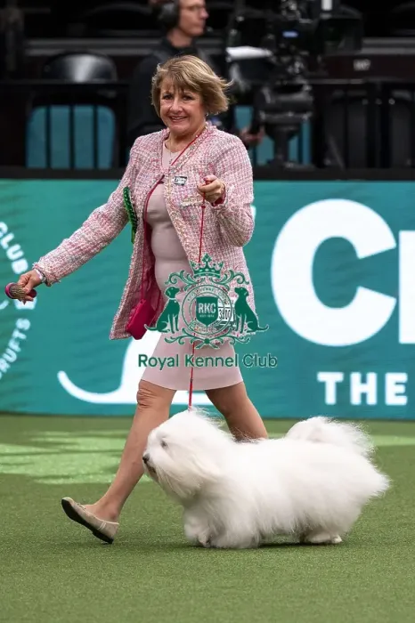 Framed Print : D-C-D-0-1-9-0 Crufts 2024 NEC Birmingham Day 1