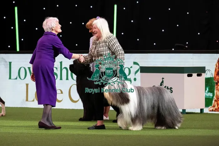 Framed Print : D-C-D-0-1-9-0 Crufts 2024 NEC Birmingham Day 1 Framed Print : D-C-D-0-1-9-0 Crufts 2024 NEC Birmingham Day 1