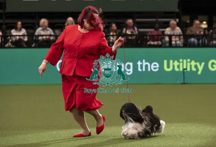 Framed Print : D-C-D-0-1-9-0 Crufts 2024 NEC Birmingham Day 1