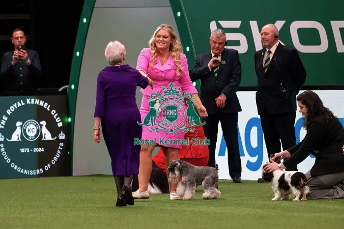 Framed Print : D-C-D-0-1-9-0 Crufts 2024 NEC Birmingham Day 1 Framed Print : D-C-D-0-1-9-0 Crufts 2024 NEC Birmingham Day 1