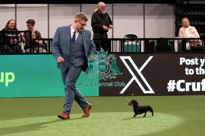 Framed Print : D-C-D-0-1-9-0 Crufts 2024 NEC Birmingham Day 1