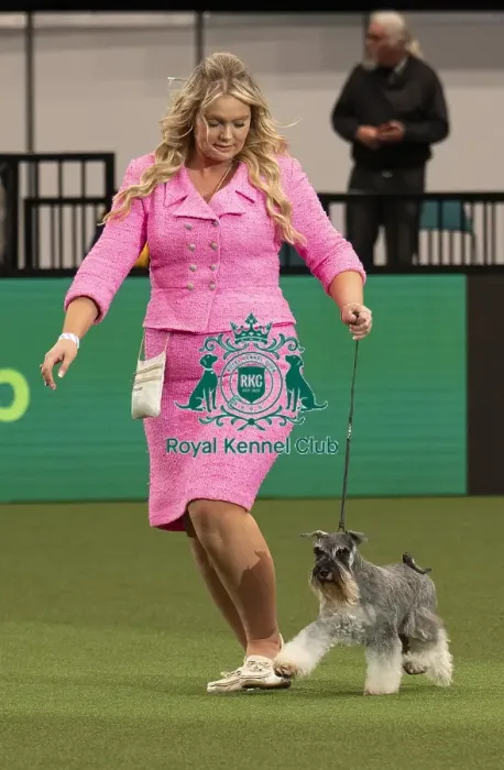 Framed Print : D-C-D-0-1-9-0 Crufts 2024 NEC Birmingham Day 1
