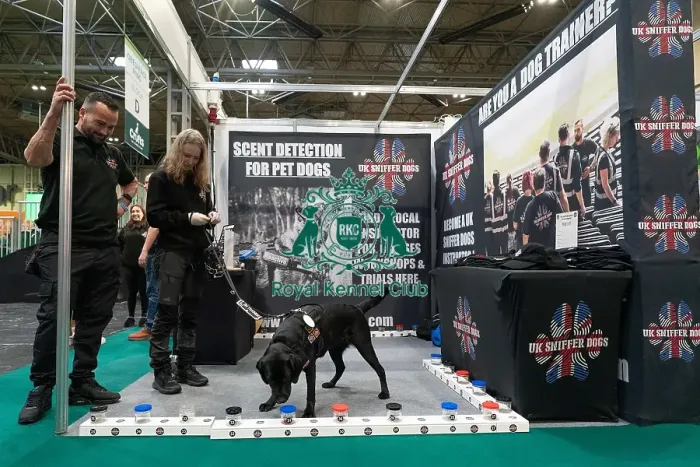 Framed Print : D-C-D-0-1-9-0 Crufts 2024 NEC Birmingham Day 1 Framed Print : D-C-D-0-1-9-0 Crufts 2024 NEC Birmingham Day 1