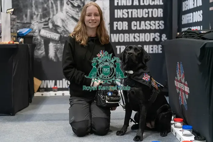 Framed Print : D-C-D-0-1-9-0 Crufts 2024 NEC Birmingham Day 1 Framed Print : D-C-D-0-1-9-0 Crufts 2024 NEC Birmingham Day 1