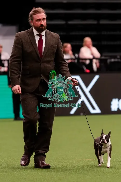 Framed Print : D-C-D-0-1-9-0 Crufts 2024 NEC Birmingham Day 1 Framed Print : D-C-D-0-1-9-0 Crufts 2024 NEC Birmingham Day 1