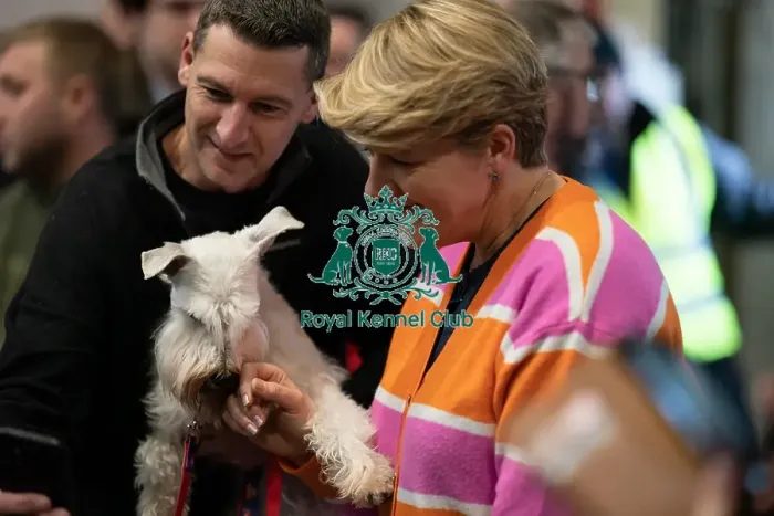 Framed Print : D-C-D-0-1-9-0 Crufts 2024 NEC Birmingham Day 1 Framed Print : D-C-D-0-1-9-0 Crufts 2024 NEC Birmingham Day 1