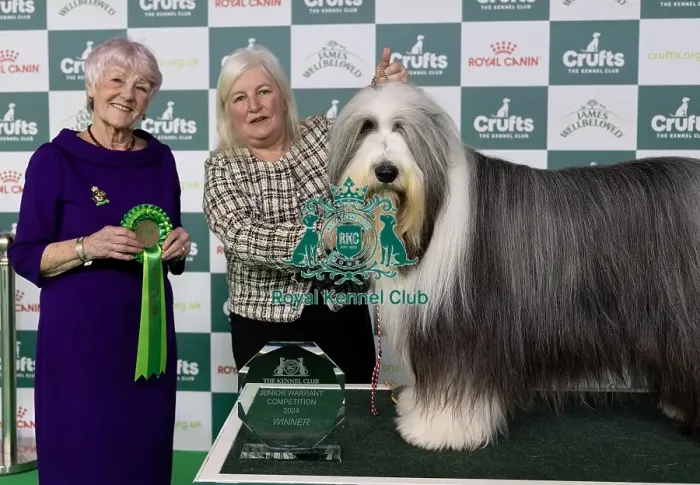 Framed Print : D-C-D-0-1-9-0 Crufts 2024 NEC Birmingham Day 1 Framed Print : D-C-D-0-1-9-0 Crufts 2024 NEC Birmingham Day 1