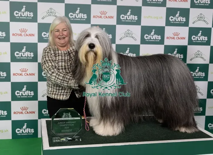 Framed Print : D-C-D-0-1-9-0 Crufts 2024 NEC Birmingham Day 1