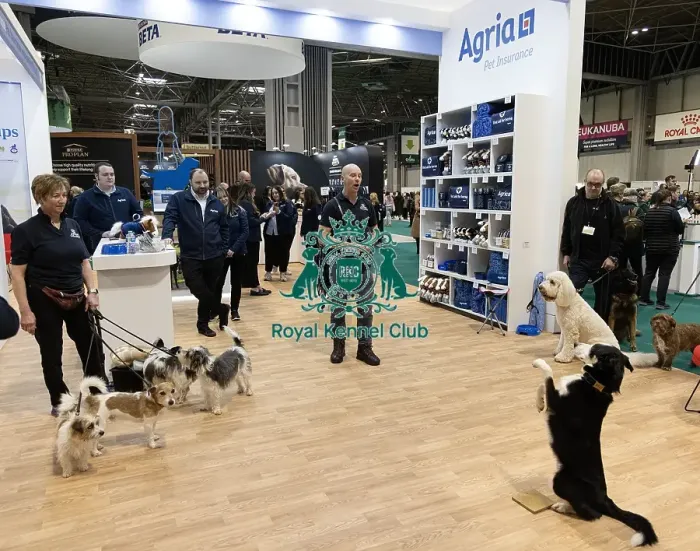 Framed Print : D-C-D-0-1-9-0 Crufts 2024 NEC Birmingham Day 1 Framed Print : D-C-D-0-1-9-0 Crufts 2024 NEC Birmingham Day 1