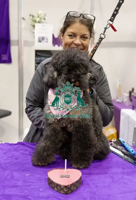 Framed Print : D-C-D-0-1-9-0 Crufts 2024 NEC Birmingham Day 1
