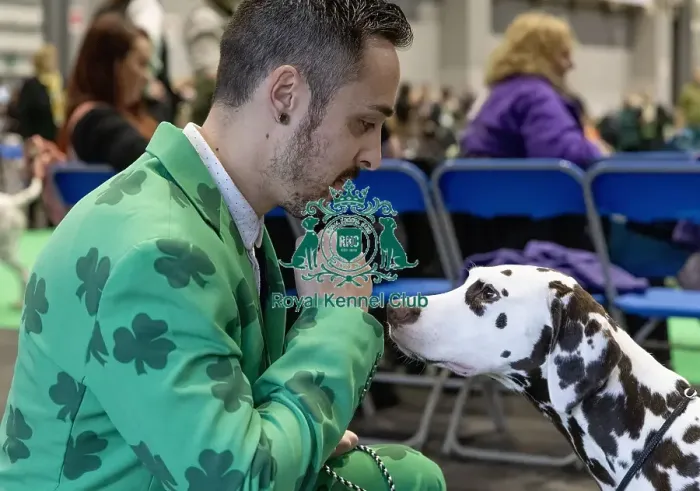 Framed Print : D-C-D-0-1-9-0 Crufts 2024 NEC Birmingham Day 1