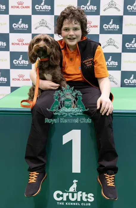 Framed Print : D-C-D-0-1-9-0 Crufts 2024 NEC Birmingham Day 1 Framed Print : D-C-D-0-1-9-0 Crufts 2024 NEC Birmingham Day 1