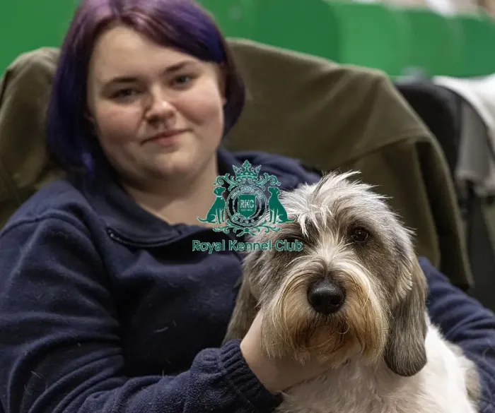 Framed Print : D-C-D-0-1-9-0 Crufts 2024 NEC Birmingham Day 2 Framed Print : D-C-D-0-1-9-0 Crufts 2024 NEC Birmingham Day 2