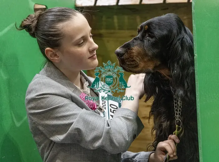 Framed Print : D-C-D-0-1-9-0 Crufts 2024 NEC Birmingham Day 2 Framed Print : D-C-D-0-1-9-0 Crufts 2024 NEC Birmingham Day 2