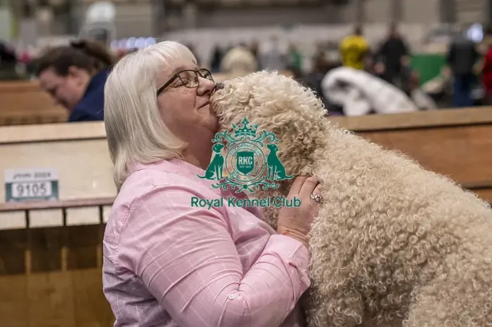 Framed Print : D-C-D-0-1-9-0 Crufts 2024 NEC Birmingham Day 2 Framed Print : D-C-D-0-1-9-0 Crufts 2024 NEC Birmingham Day 2
