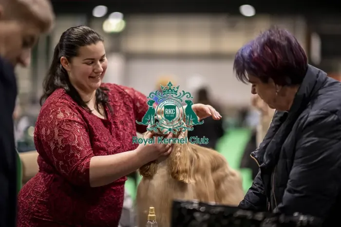 Framed Print : D-C-D-0-1-9-0 Crufts 2024 NEC Birmingham Day 2 Framed Print : D-C-D-0-1-9-0 Crufts 2024 NEC Birmingham Day 2