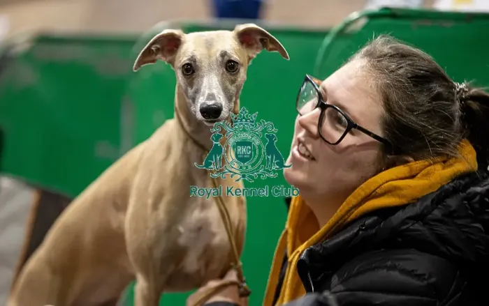 Framed Print : D-C-D-0-1-9-0 Crufts 2024 NEC Birmingham Day 3