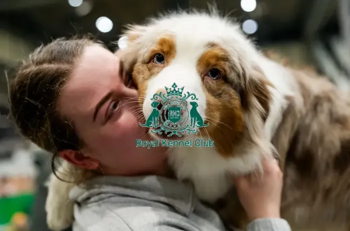 Framed Print : D-C-D-0-1-9-0 Crufts 2024 NEC Birmingham Day 3