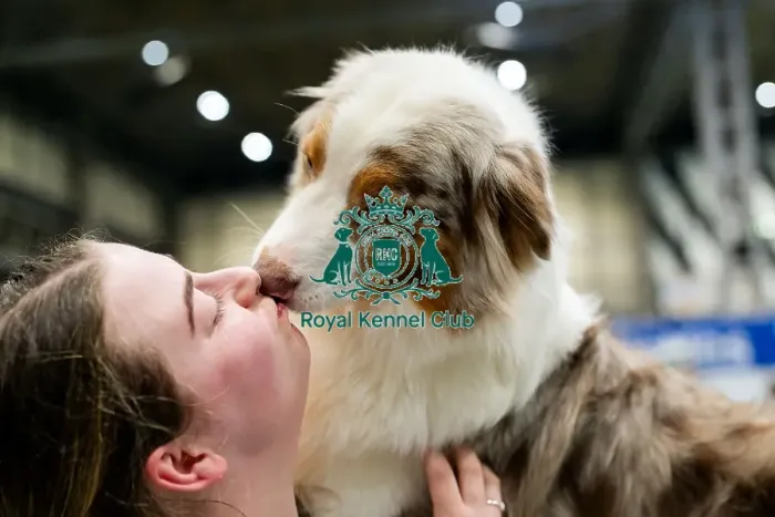 Framed Print : D-C-D-0-1-9-0 Crufts 2024 NEC Birmingham Day 3 Framed Print : D-C-D-0-1-9-0 Crufts 2024 NEC Birmingham Day 3