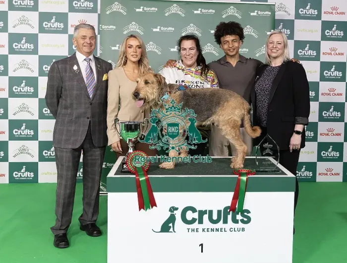 Framed Print : D-C-D-0-1-9-0 Crufts 2024 NEC Birmingham Day 3 Framed Print : D-C-D-0-1-9-0 Crufts 2024 NEC Birmingham Day 3
