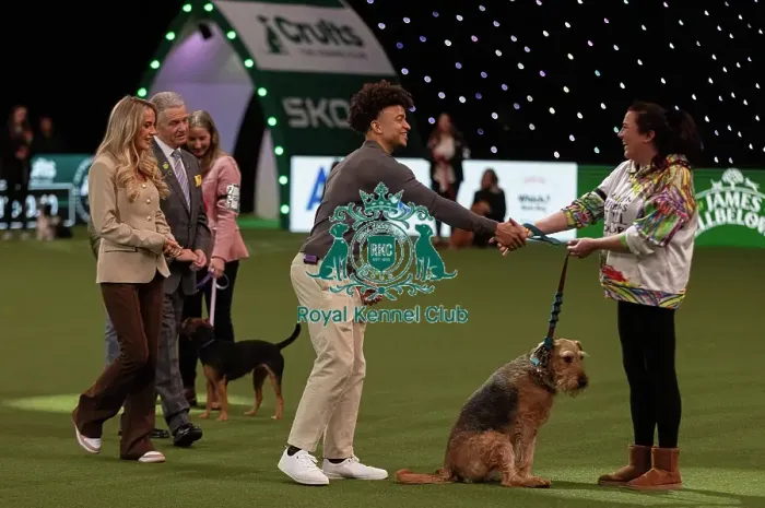Framed Print : D-C-D-0-1-9-0 Crufts 2024 NEC Birmingham Day 3 Framed Print : D-C-D-0-1-9-0 Crufts 2024 NEC Birmingham Day 3