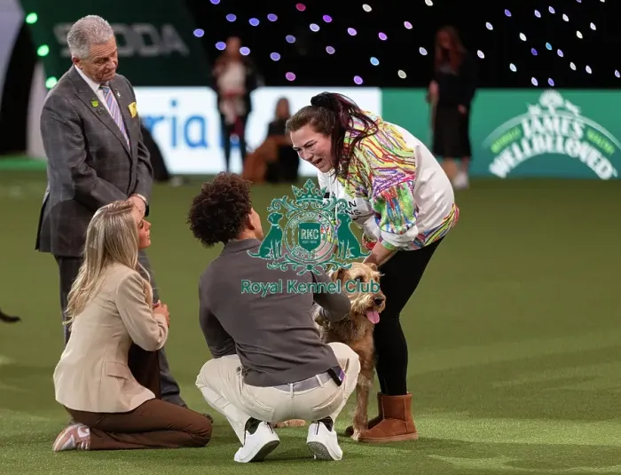Framed Print : D-C-D-0-1-9-0 Crufts 2024 NEC Birmingham Day 3 Framed Print : D-C-D-0-1-9-0 Crufts 2024 NEC Birmingham Day 3