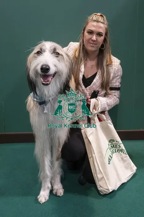 Framed Print : D-C-D-0-1-9-0 Crufts 2024 NEC Birmingham Day 3