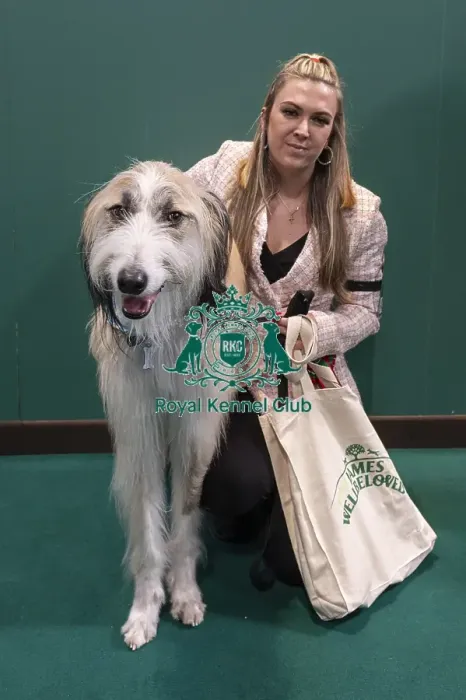 Framed Print : D-C-D-0-1-9-0 Crufts 2024 NEC Birmingham Day 3