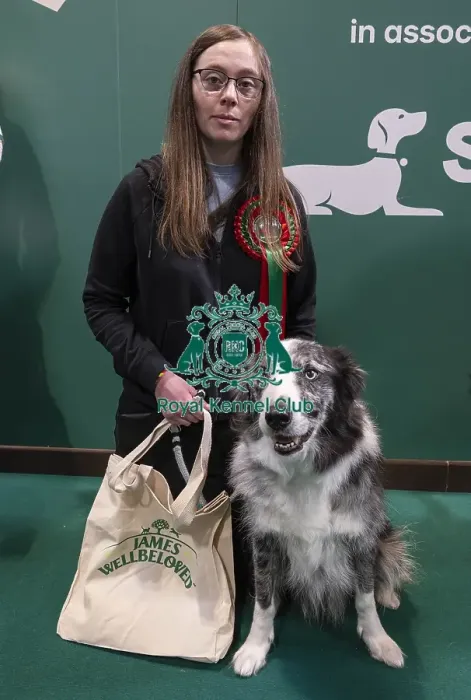 Framed Print : D-C-D-0-1-9-0 Crufts 2024 NEC Birmingham Day 3