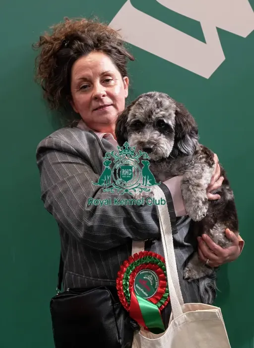 Framed Print : D-C-D-0-1-9-0 Crufts 2024 NEC Birmingham Day 3