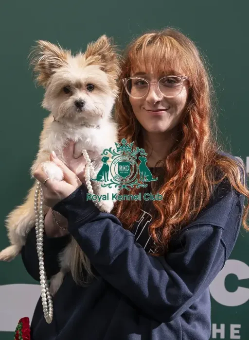 Framed Print : D-C-D-0-1-9-0 Crufts 2024 NEC Birmingham Day 3 Framed Print : D-C-D-0-1-9-0 Crufts 2024 NEC Birmingham Day 3