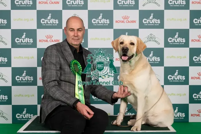 Framed Print : D-C-D-0-1-9-0 Crufts 2024 NEC Birmingham Gundog