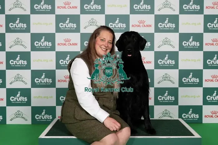 Framed Print : D-C-D-0-1-9-0 Crufts 2024 NEC Birmingham Gundog Framed Print : D-C-D-0-1-9-0 Crufts 2024 NEC Birmingham Gundog