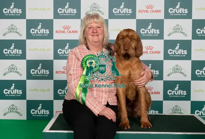 Framed Print : D-C-D-0-1-9-0 Crufts 2024 NEC Birmingham Gundog Framed Print : D-C-D-0-1-9-0 Crufts 2024 NEC Birmingham Gundog