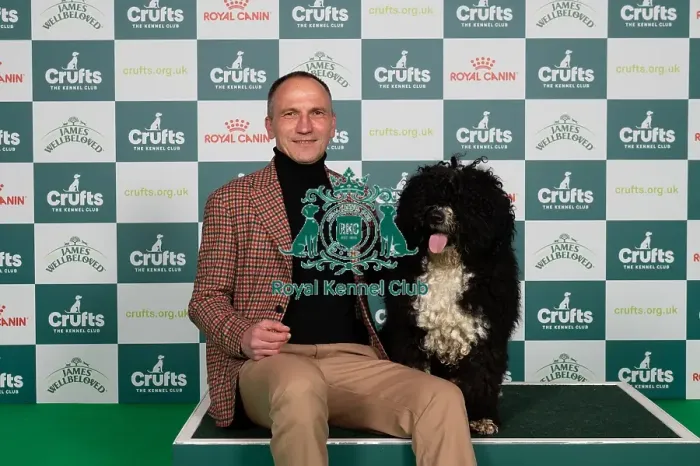 Framed Print : D-C-D-0-1-9-0 Crufts 2024 NEC Birmingham Gundog Framed Print : D-C-D-0-1-9-0 Crufts 2024 NEC Birmingham Gundog