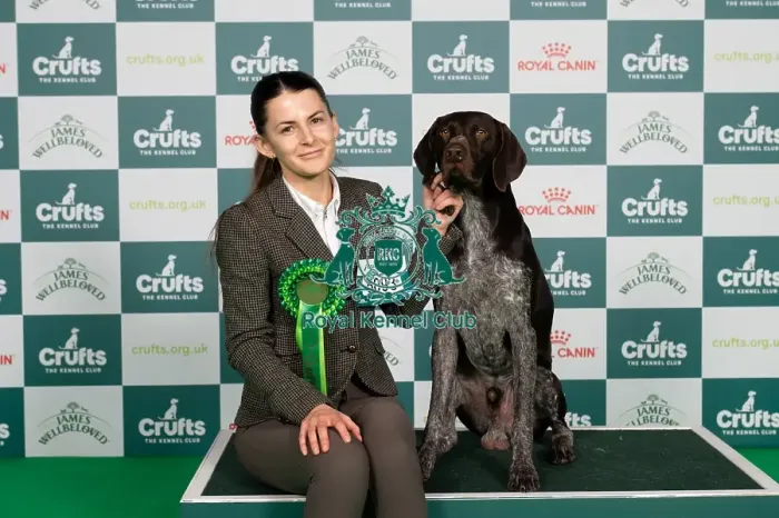 Framed Print : D-C-D-0-1-9-0 Crufts 2024 NEC Birmingham Gundog