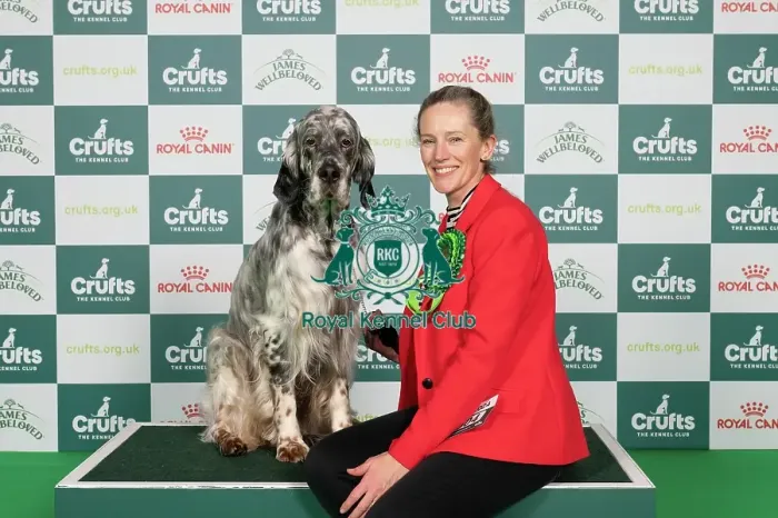 Framed Print : D-C-D-0-1-9-0 Crufts 2024 NEC Birmingham Gundog