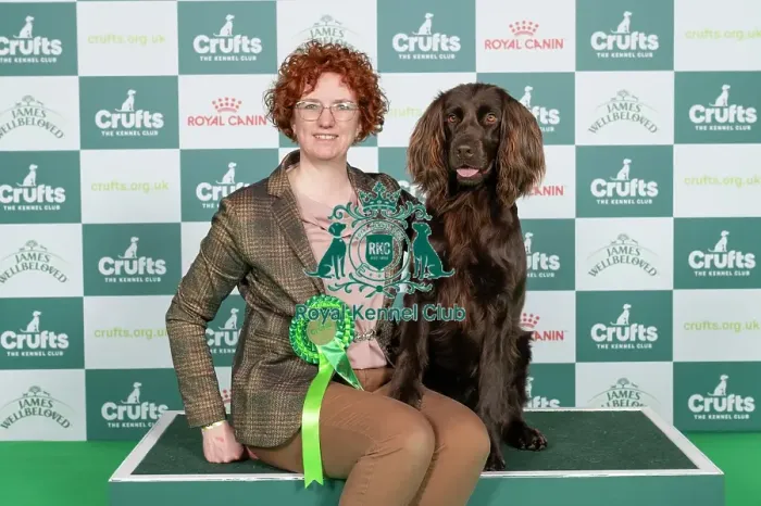 Framed Print : D-C-D-0-1-9-0 Crufts 2024 NEC Birmingham Gundog Framed Print : D-C-D-0-1-9-0 Crufts 2024 NEC Birmingham Gundog