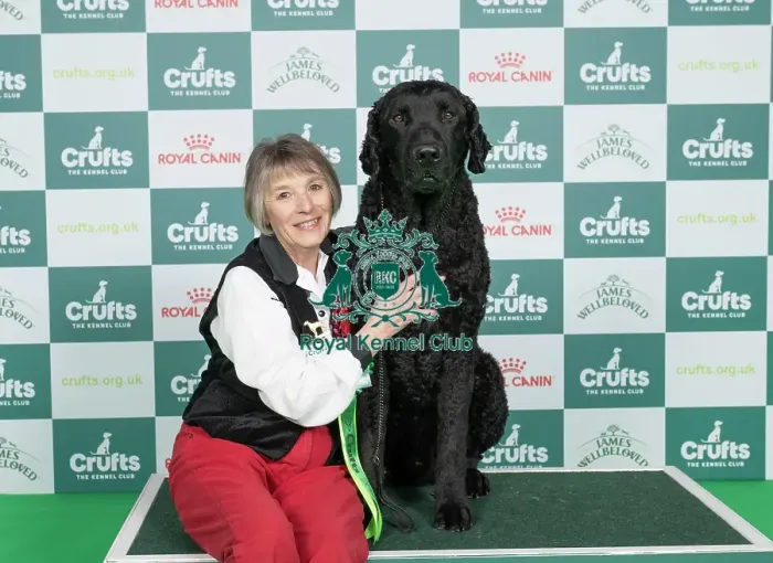 Framed Print : D-C-D-0-1-9-0 Crufts 2024 NEC Birmingham Gundog