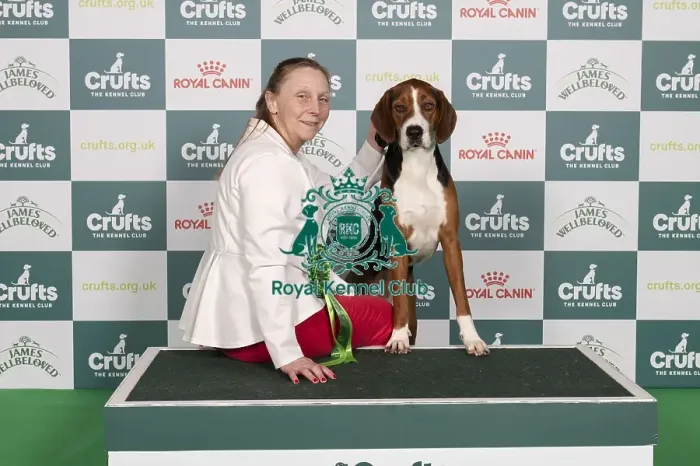 Framed Print : D-C-D-0-1-9-0 Crufts 2024 NEC Birmingham Hound Framed Print : D-C-D-0-1-9-0 Crufts 2024 NEC Birmingham Hound