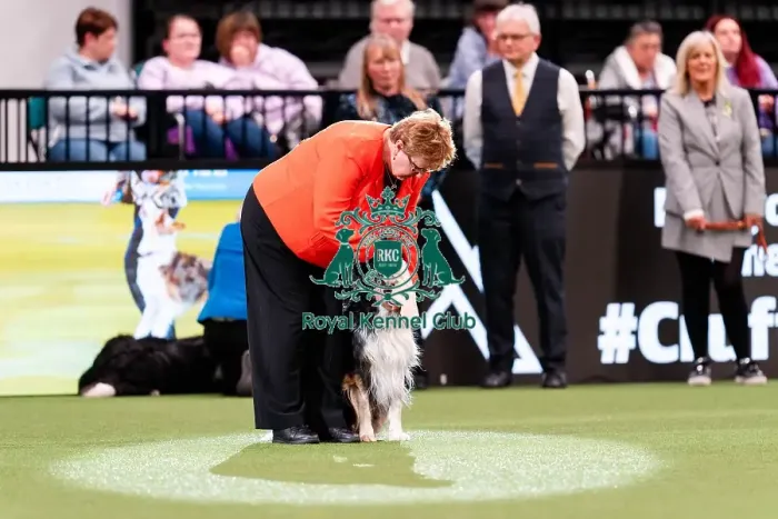 Framed Print : D-C-D-0-1-9-0 Crufts 2024 NEC Birmingham Pastoral Framed Print : D-C-D-0-1-9-0 Crufts 2024 NEC Birmingham Pastoral