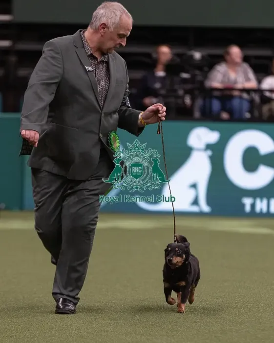 Framed Print : D-C-D-0-1-9-0 Crufts 2024 NEC Birmingham Pastoral Framed Print : D-C-D-0-1-9-0 Crufts 2024 NEC Birmingham Pastoral