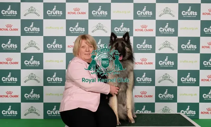 Framed Print : D-C-D-0-1-9-0 Crufts 2024 NEC Birmingham Pastoral Framed Print : D-C-D-0-1-9-0 Crufts 2024 NEC Birmingham Pastoral