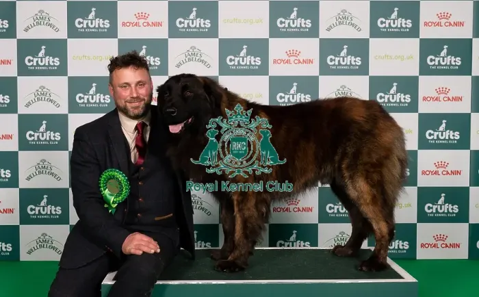 Framed Print : D-C-D-0-1-9-0 Crufts 2024 NEC Birmingham Pastoral Framed Print : D-C-D-0-1-9-0 Crufts 2024 NEC Birmingham Pastoral