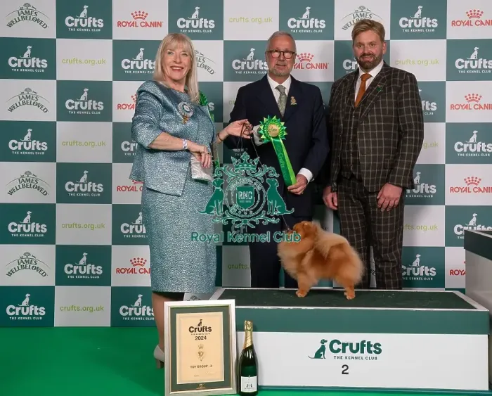 Framed Print : D-C-D-0-1-9-0 Crufts 2024 NEC Birmingham Toy