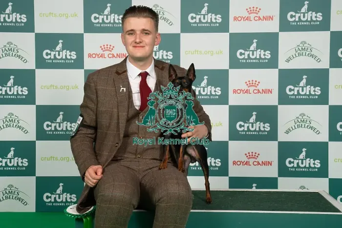 Framed Print : D-C-D-0-1-9-0 Crufts 2024 NEC Birmingham Toy Framed Print : D-C-D-0-1-9-0 Crufts 2024 NEC Birmingham Toy